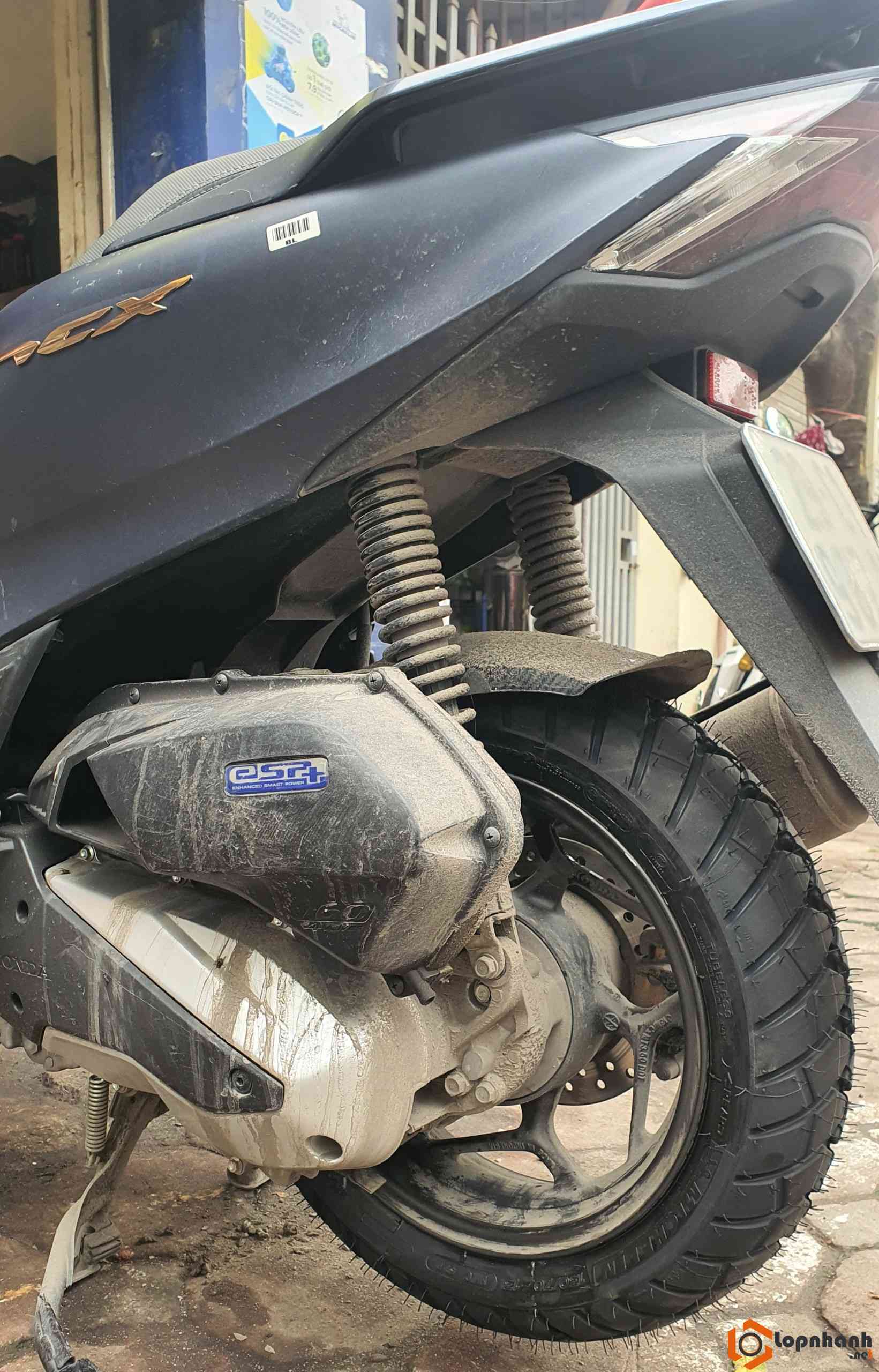 z5420132152273_e75254bbbee213a29cd493c4ed98a6bf